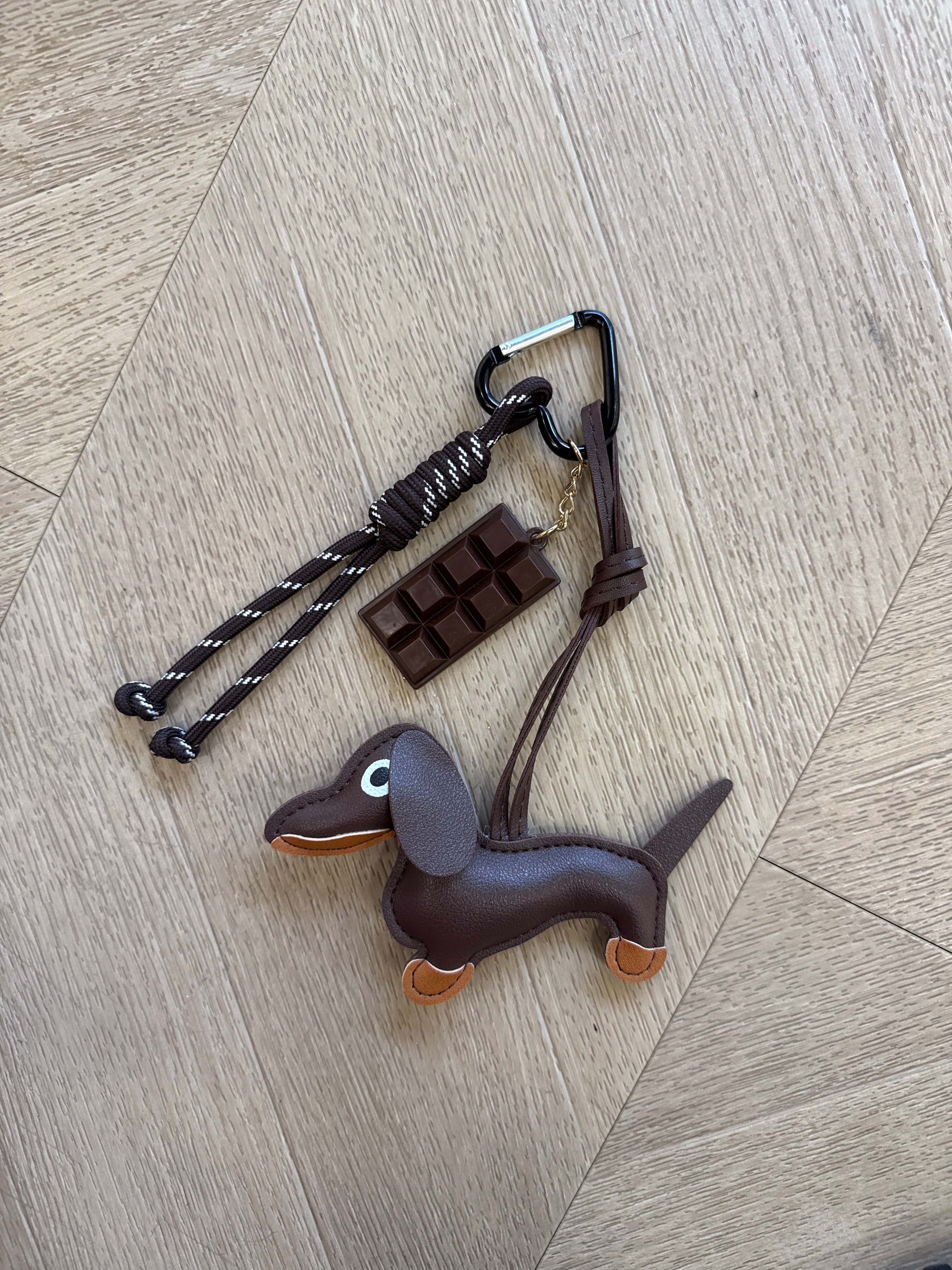 Charm bassotto and choccolate
